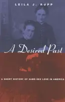 Pożądana przeszłość: Krótka historia miłości osób tej samej płci w Ameryce - A Desired Past: A Short History of Same-Sex Love in America