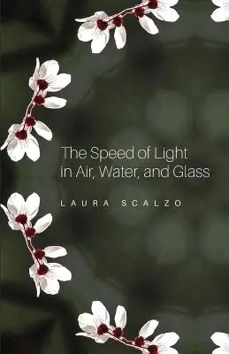 Prędkość światła w powietrzu, wodzie i szkle - The Speed of Light in Air, Water, and Glass