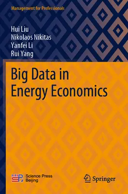 Big Data w ekonomii energetycznej - Big Data in Energy Economics