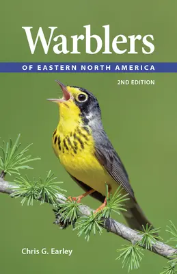 Wodniczki wschodniej części Ameryki Północnej - Warblers of Eastern North America