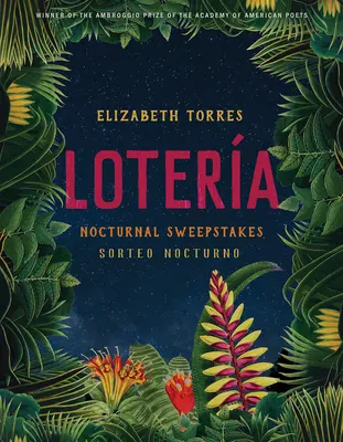 Lotera: Nocna loteria - Lotera: Nocturnal Sweepstakes