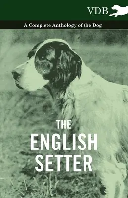 Seter angielski - kompletna antologia psa - The English Setter - A Complete Anthology of the Dog