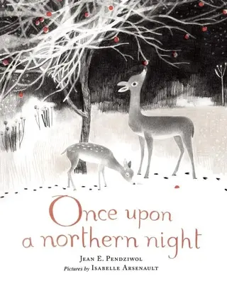 Pewnej północnej nocy - Once Upon a Northern Night