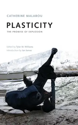 Plastyczność: Obietnica eksplozji - Plasticity: The Promise of Explosion