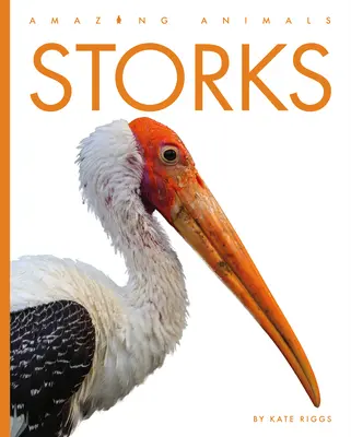 Bociany - Storks