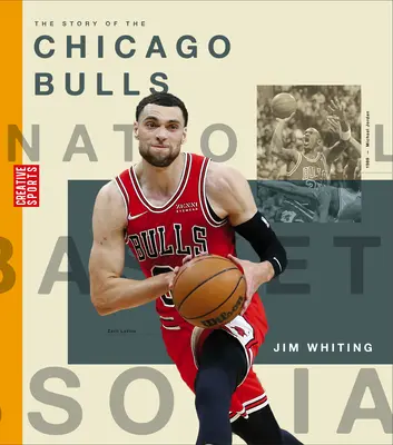 Historia Chicago Bulls - The Story of the Chicago Bulls