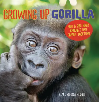 Dorastający goryl: Jak dziecko z zoo połączyło swoją rodzinę - Growing Up Gorilla: How a Zoo Baby Brought Her Family Together