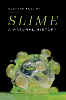 Szlam: Historia naturalna - Slime: A Natural History