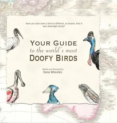 Przewodnik po najbardziej głupkowatych ptakach świata - Your Guide to the World's Most Doofy Birds