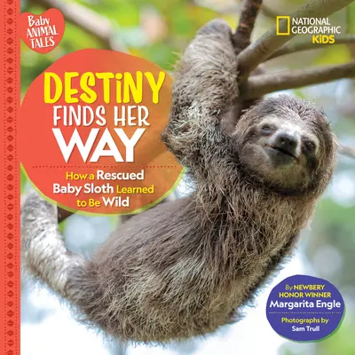 Przeznaczenie znajduje swoją drogę: jak uratowany leniwiec nauczył się być dziki - Destiny Finds Her Way: How a Rescued Baby Sloth Learned to Be Wild