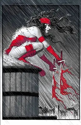 Elektra: Black, White & Blood Treasury Edition