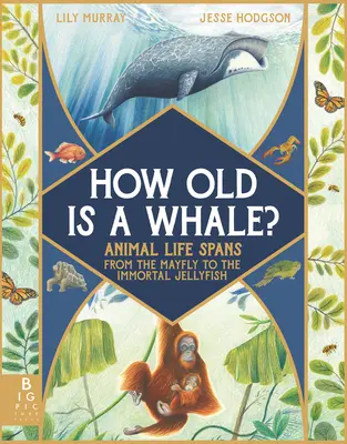 Ile lat ma wieloryb? Życie zwierząt od jętki do nieśmiertelnej meduzy - How Old Is a Whale?: Animal Life Spans from the Mayfly to the Immortal Jellyfish