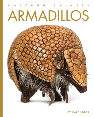 Pancerniki - Armadillos