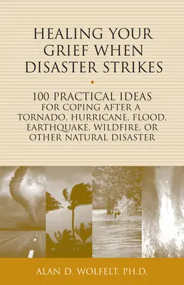 Healing Your Grief When Disaster Strikes: 100 praktycznych pomysłów na radzenie sobie po tornadzie, huraganie, powodzi, trzęsieniu ziemi, pożarze lub innej klęsce żywiołowej - Healing Your Grief When Disaster Strikes: 100 Practical Ideas for Coping After a Tornado, Hurricane, Flood, Earthquake, Wildfire, or Other Natural Dis