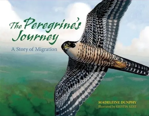 Podróż sokoła wędrownego: Opowieść o migracji - The Peregrine's Journey: A Story of Migration