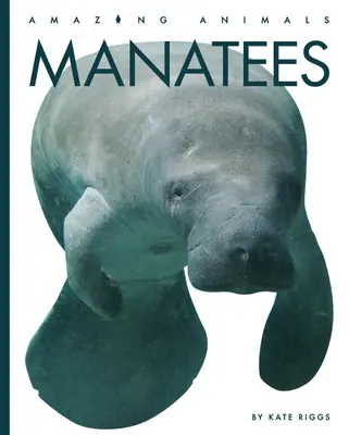 Manaty - Manatees