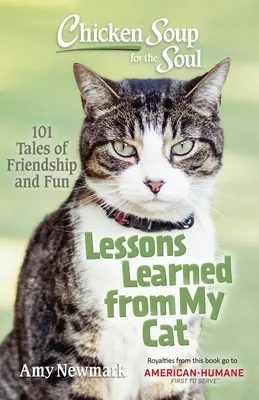 Chicken Soup for the Soul: Lekcje wyciągnięte z mojego kota - Chicken Soup for the Soul: Lessons Learned from My Cat