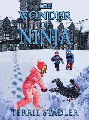 Cud ninja - The Wonder of Ninja