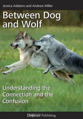 Między psem a wilkiem: zrozumienie połączenia i zamieszania - Between Dog and Wolf: Understanding the Connection and the Confusion