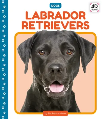 Labrador Retriever - Labrador Retrievers