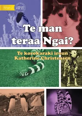 Jakim zwierzęciem jestem? - Te man teraa Ngai? (Te Kiribati) - What Animal am I? - Te man teraa Ngai? (Te Kiribati)