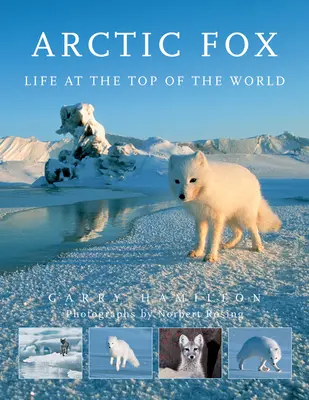 Arctic Fox: Życie na szczycie świata - Arctic Fox: Life at the Top of the World