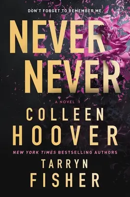 Never Never: A Twisty, Angsty Romance