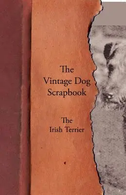 The Vintage Dog Scrapbook - Terier irlandzki - The Vintage Dog Scrapbook - The Irish Terrier