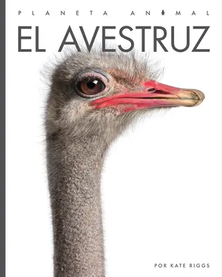 El Avestruz