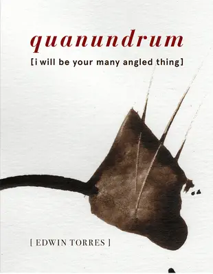 Quanundrum: [Będę twoją rzeczą pod wieloma kątami] - Quanundrum: [I Will Be Your Many Angled Thing]