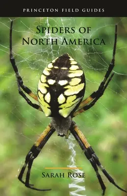 Pająki Ameryki Północnej - Spiders of North America