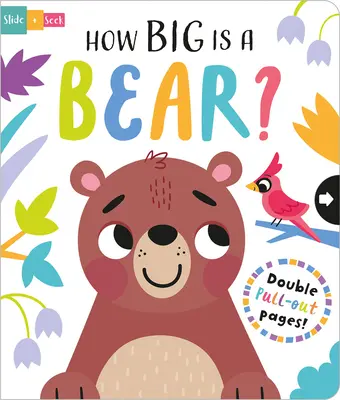 Jak duży jest niedźwiedź? - How Big Is a Bear?