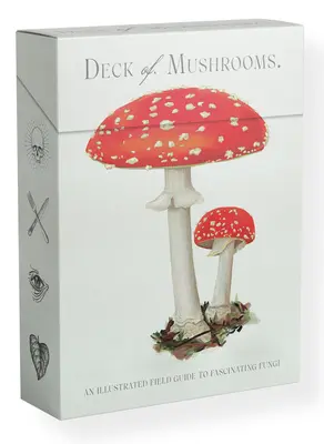 The Deck of Mushrooms: Ilustrowany przewodnik terenowy po fascynujących grzybach - The Deck of Mushrooms: An Illustrated Field Guide to Fascinating Fungi