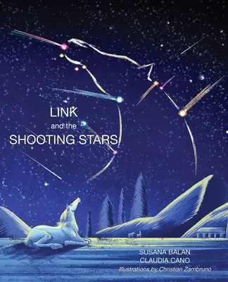 Link i spadające gwiazdy - Link and the Shooting Stars