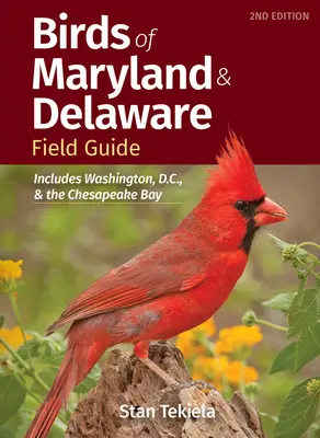 Przewodnik terenowy po ptakach Maryland i Delaware: Obejmuje Waszyngton i zatokę Chesapeake - Birds of Maryland & Delaware Field Guide: Includes Washington, D.C., and the Chesapeake Bay