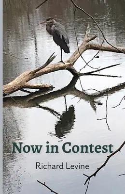 Teraz w konkursie - Now in Contest