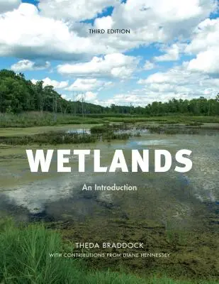 Tereny podmokłe: Wprowadzenie - Wetlands: An Introduction