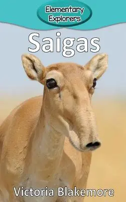 Sajgonki - Saigas