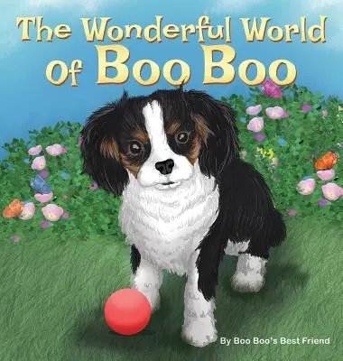 Wspaniały świat Boo Boo - The Wonderful World Of Boo Boo