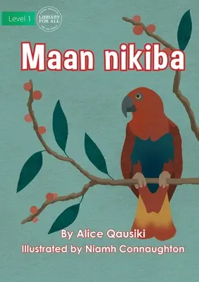 Ptaki - Maan nikiba - Birds - Maan nikiba