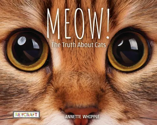 Miau! Prawda o kotach - Meow! the Truth about Cats