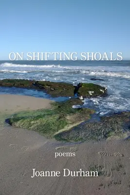 Na przesuwających się mieliznach - On Shifting Shoals