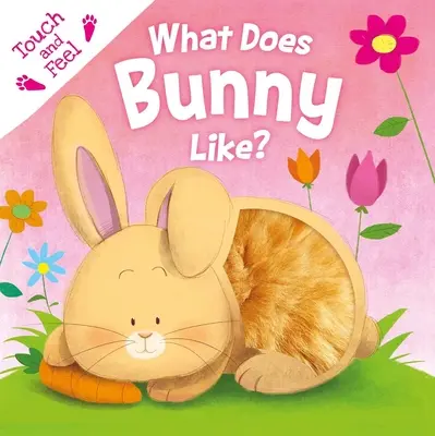 Co lubi króliczek? Książka planszowa „Dotknij i poczuj - What Does Bunny Like?: Touch & Feel Board Book