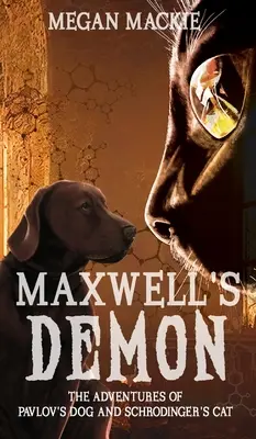 Demon Maxwella - Maxwell's Demon