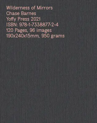 Wilderness of Mirrors