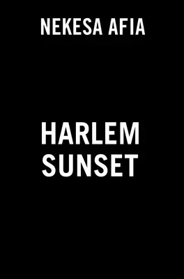 Zachód słońca w Harlemie - Harlem Sunset