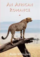 Afrykański romans - African Romance