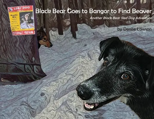 Czarny Niedźwiedź wyrusza do Bangor w poszukiwaniu bobra: Kolejna przygoda z psem zaprzęgowym niedźwiedzia czarnego - Black Bear Goes to Bangor to Find Beaver: Another Black Bear Sled Dog Adventure