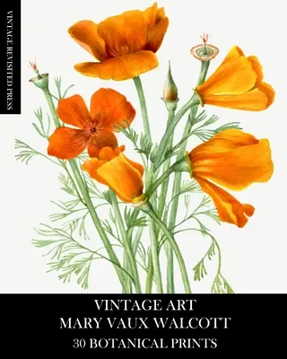 Vintage Art: Mary Vaux Walcott: 30 odbitek botanicznych - Vintage Art: Mary Vaux Walcott 30 Botanical Prints