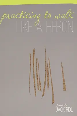 Ćwicząc chodzenie jak czapla - Practicing to Walk Like a Heron